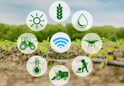 How Technology Is Enabling Smart Farming Solutions