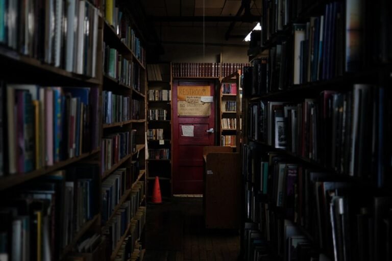 commercial intelligence study overview